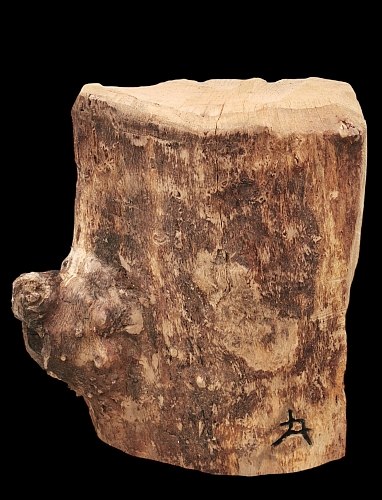 scheiereule barn owl eule holz motors�ge kettens�ge schnitzen kettes�genkunst motors�genkunst holzwerker